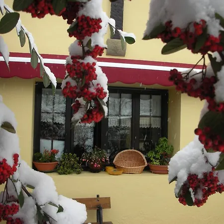 Casa Rural Montanenea 乡村民宿